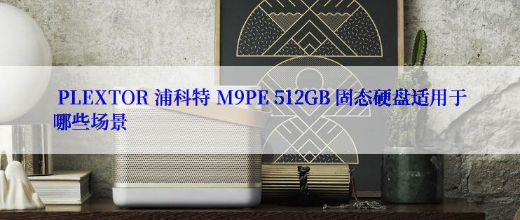  PLEXTOR 浦科特 M9PE 512GB 固态硬盘适用于哪些场景