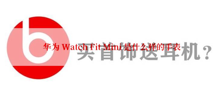 华为 Watch Fit Mini 是什么样的手表