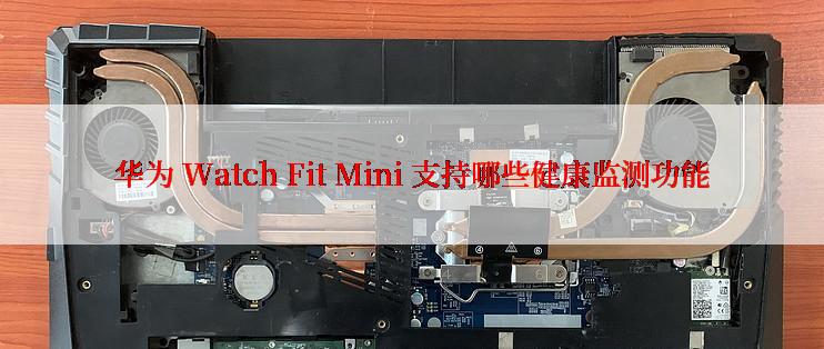 华为 Watch Fit Mini 支持哪些健康监测功能