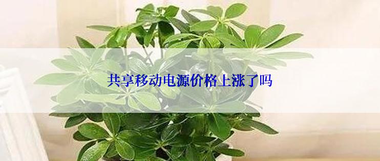 共享移动电源价格上涨了吗