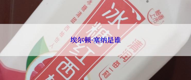 埃尔顿·塞纳是谁