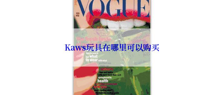 Kaws玩具在哪里可以购买