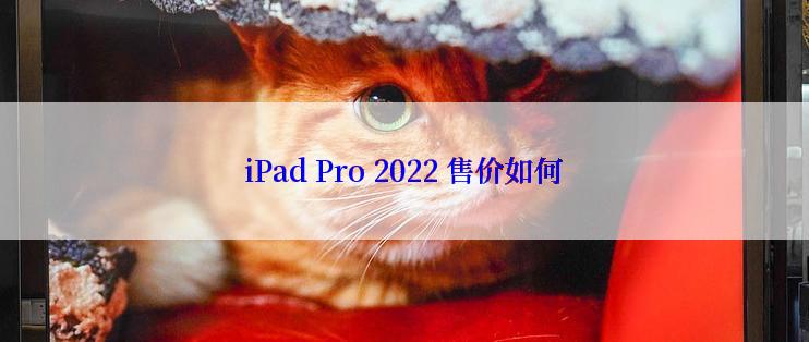 iPad Pro 2022 售价如何