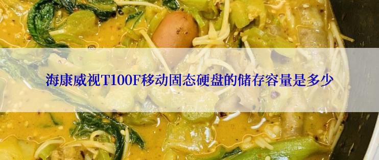 海康威视T100F移动固态硬盘的储存容量是多少