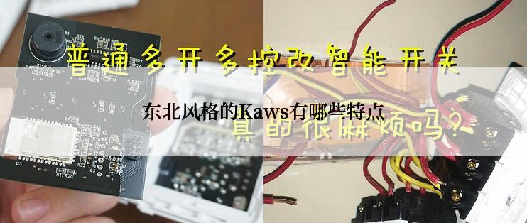 东北风格的Kaws有哪些特点