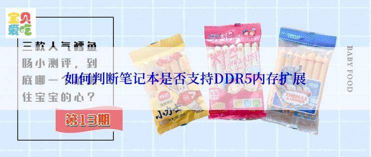 如何判断笔记本是否支持DDR5内存扩展