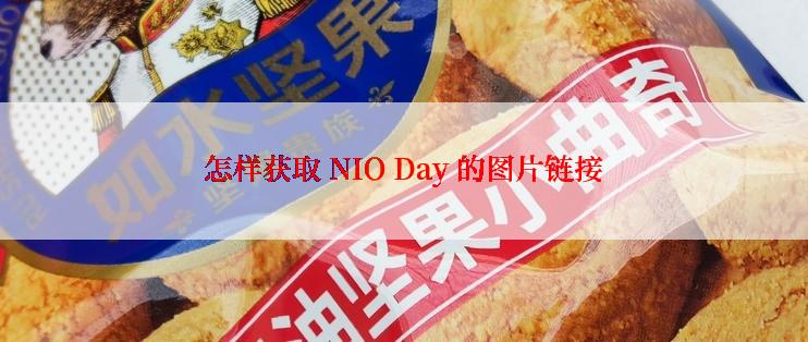 怎样获取 NIO Day 的图片链接