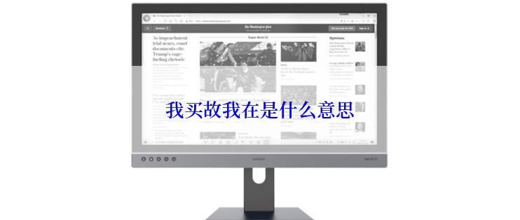 我买故我在是什么意思