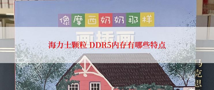 海力士颗粒 DDR5内存有哪些特点