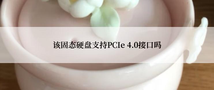 该固态硬盘支持PCIe 4.0接口吗