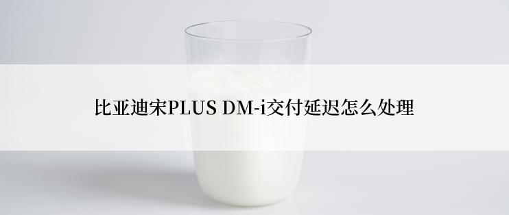 比亚迪宋PLUS DM-i交付延迟怎么处理