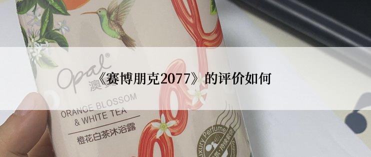 《赛博朋克2077》的评价如何