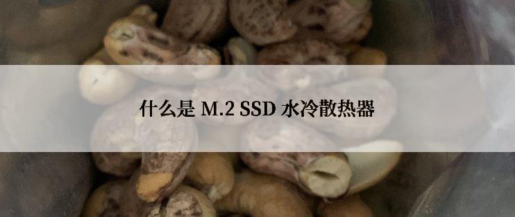 什么是 M.2 SSD 水冷散热器