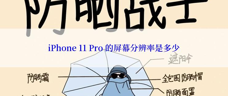 iPhone 11 Pro 的屏幕分辨率是多少