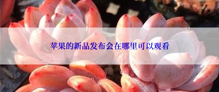 苹果的新品发布会在哪里可以观看