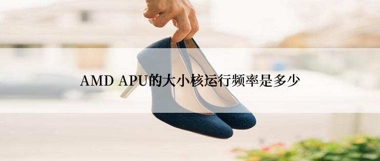 AMD APU的大小核运行频率是多少