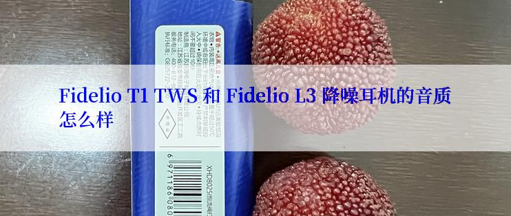 Fidelio T1 TWS 和 Fidelio L3 降噪耳机的音质怎么样