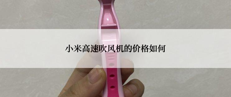 小米高速吹风机的价格如何