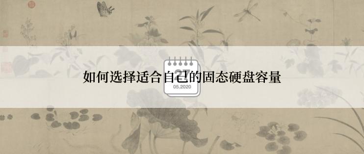 如何选择适合自己的固态硬盘容量