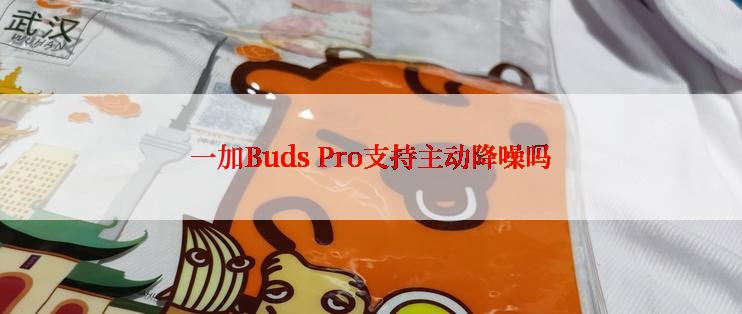 一加Buds Pro支持主动降噪吗