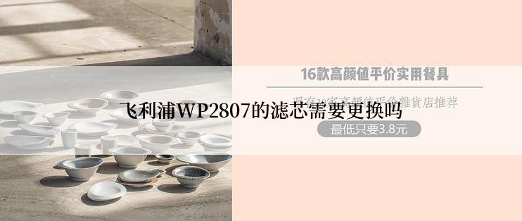 飞利浦WP2807的滤芯需要更换吗