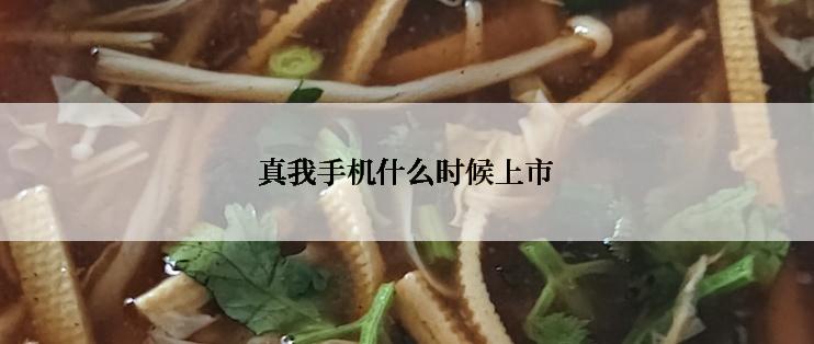 真我手机什么时候上市