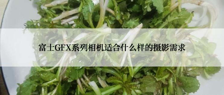 富士GFX系列相机适合什么样的摄影需求