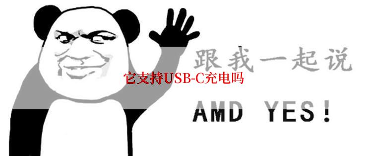 它支持USB-C充电吗