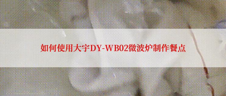 如何使用大宇DY-WB02微波炉制作餐点