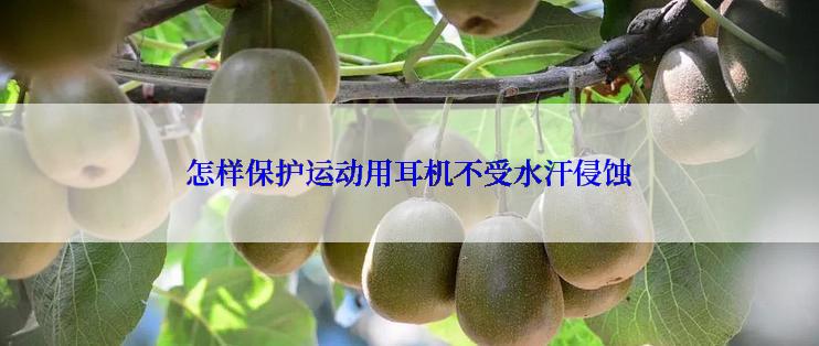 怎样保护运动用耳机不受水汗侵蚀