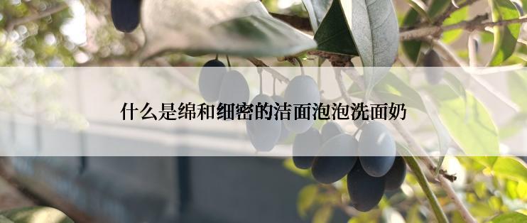 什么是绵和细密的洁面泡泡洗面奶