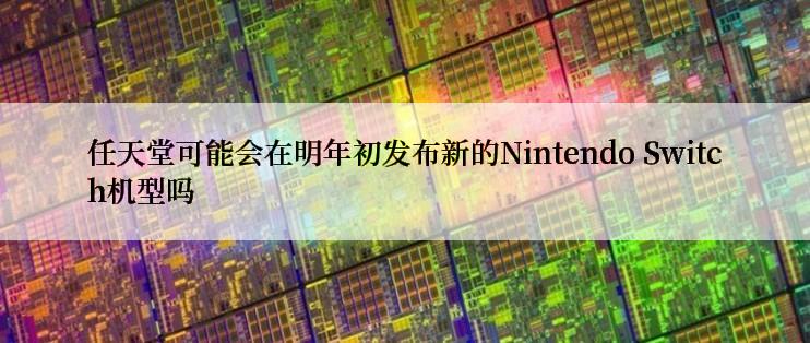 任天堂可能会在明年初发布新的Nintendo Switch机型吗