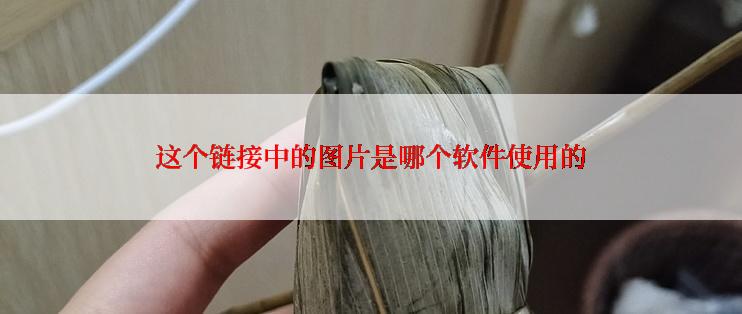 这个链接中的图片是哪个软件使用的