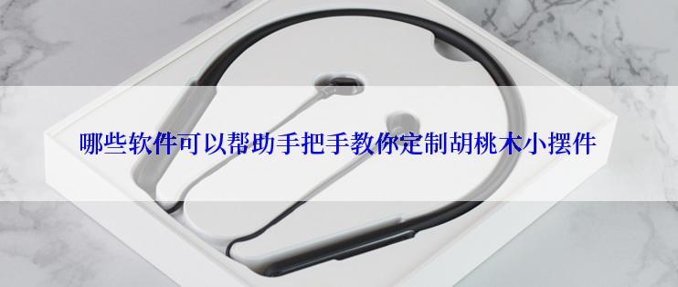 哪些软件可以帮助手把手教你定制胡桃木小摆件