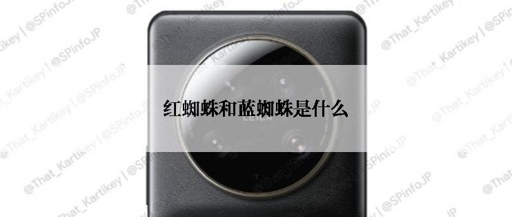 红蜘蛛和蓝蜘蛛是什么