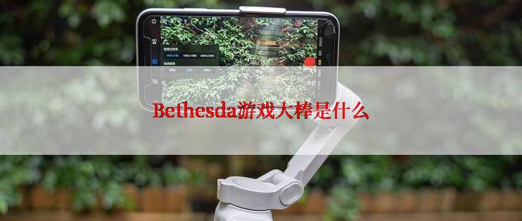 Bethesda游戏大棒是什么