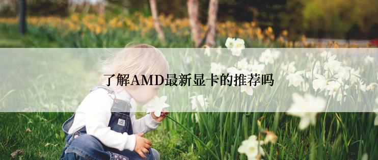 了解AMD最新显卡的推荐吗