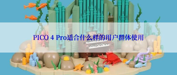 PICO 4 Pro适合什么样的用户群体使用