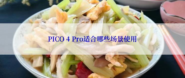 PICO 4 Pro适合哪些场景使用