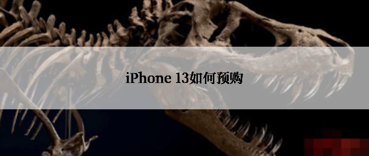 iPhone 13如何预购