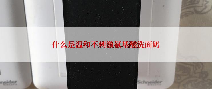 什么是温和不刺激氨基酸洗面奶