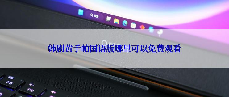 韩剧黄手帕国语版哪里可以免费观看