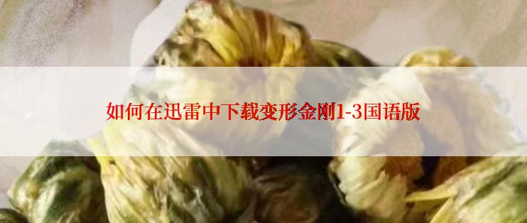 如何在迅雷中下载变形金刚1-3国语版