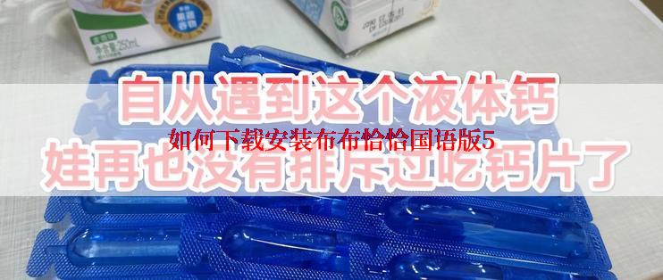 如何下载安装布布恰恰国语版5