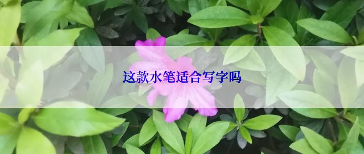 这款水笔适合写字吗