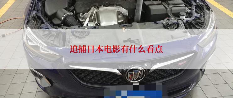 追捕日本电影有什么看点