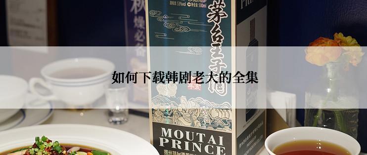  如何下载韩剧老大的全集