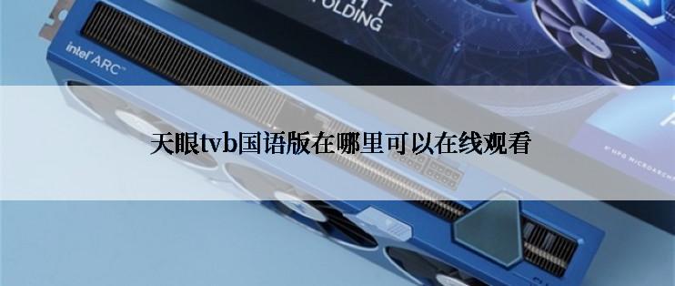  天眼tvb国语版在哪里可以在线观看