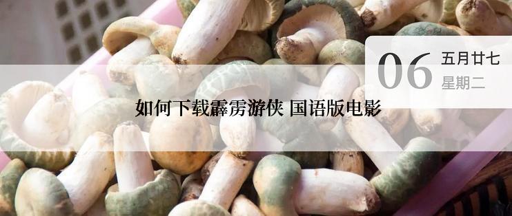  如何下载霹雳游侠 国语版电影