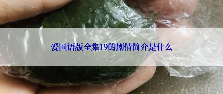 爱国语版全集19的剧情简介是什么